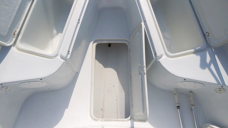 2000 Pro Sports 2550 For Sale