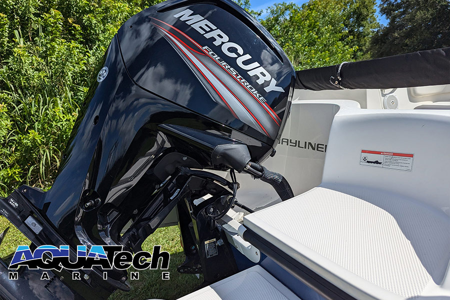 2019 Bayliner Element E16 Deck Boat