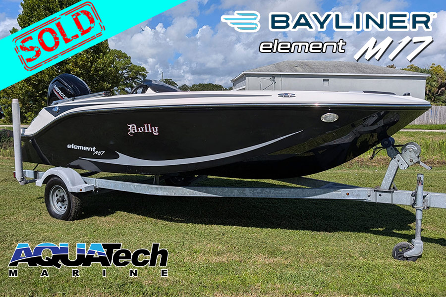 2022 Bayliner Element M17 For Sale