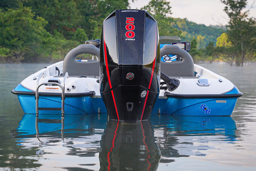 Bass Cat Pantera II SP