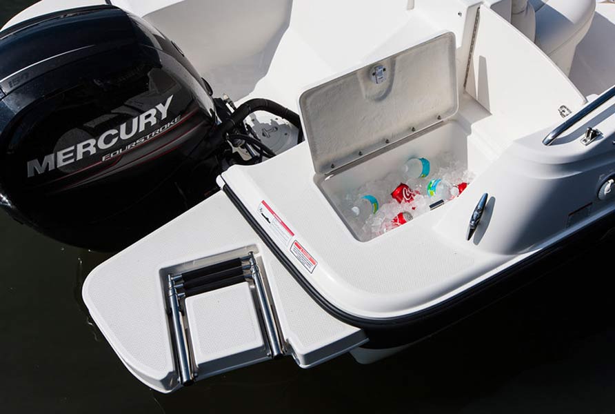 Bayliner 210 Deck Boat