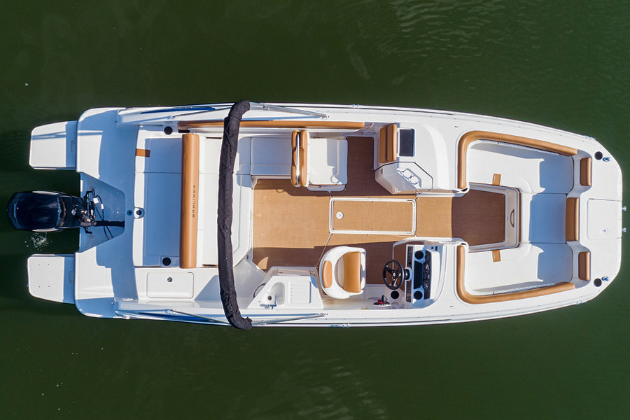 Bayliner dx2200 Deck Boat