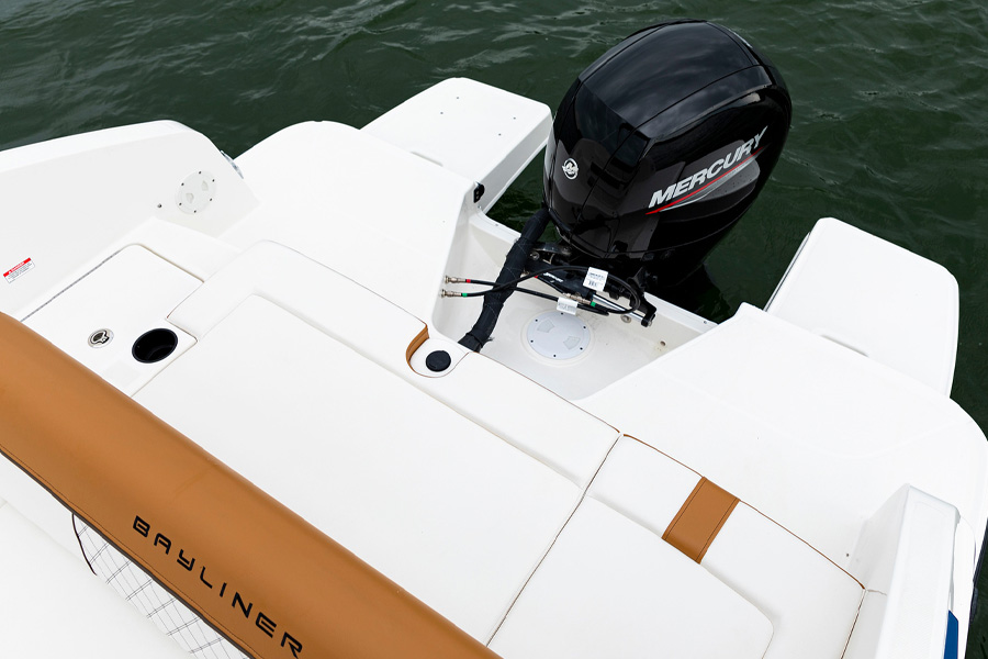 Bayliner dx2200 Deck Boat