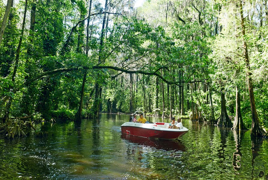 Bayliner Element E18 Deck Boat